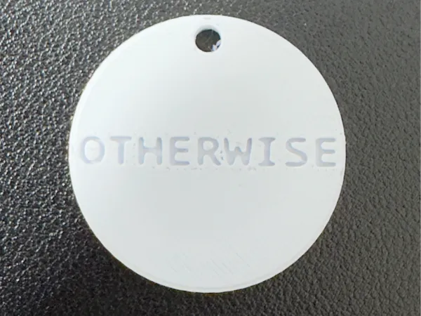 https://makerworld.bblmw.com/makerworld/model/USf925601eb73c13/design/2025-01-28_72c271881e725.jpg
