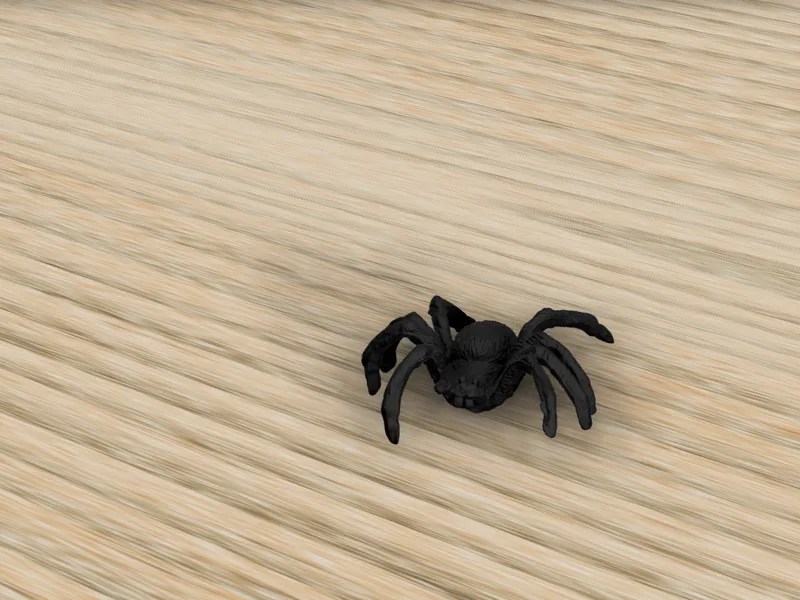 Spider