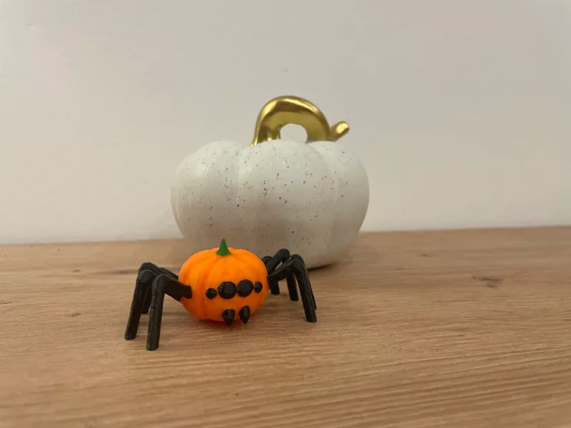 Pumpkin or Spider Koko the first Pumpkinspider