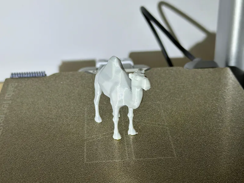 Abstract camel