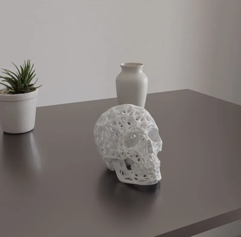 Human skull voronoi