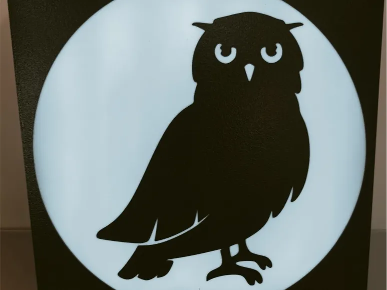 Lightbox - owl