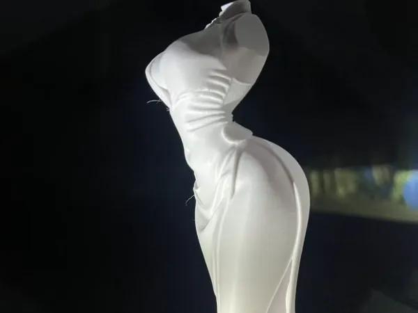 https://makerworld.bblmw.com/makerworld/model/USf9362cca4ab5cc/design/2025-11-16_1fb0d2876662.jpg