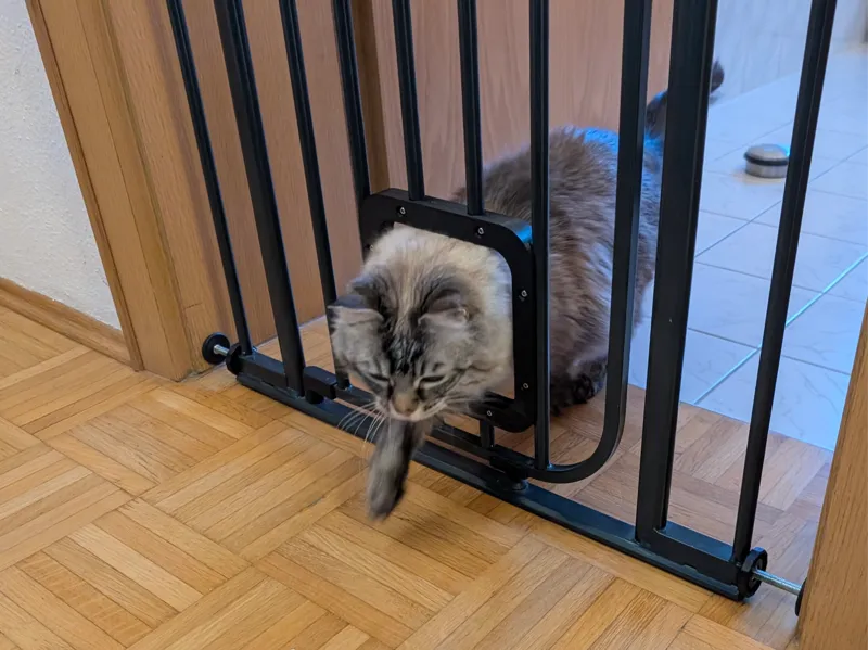 Customizable XL Cat Passage for Door / Stair Gates