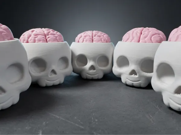 https://makerworld.bblmw.com/makerworld/model/USf937536157c2e/design/5717efb62b718e73.jpg