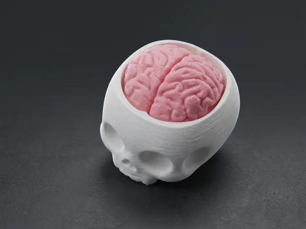 https://makerworld.bblmw.com/makerworld/model/USf937536157c2e/design/be0ee6138cc441b7.jpg