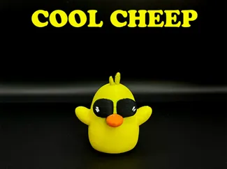 Cool Chick