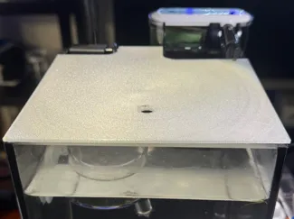 1.2 gallon aquarium lid