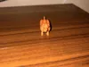 Cute Dog
