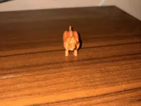Cute Dog