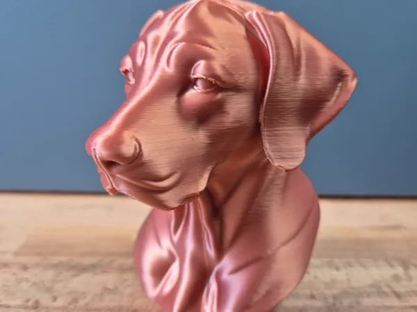 https://makerworld.bblmw.com/makerworld/model/USf946d5bb6ac0a4/design/2025-05-14_82eb8de3ea7368.jpg