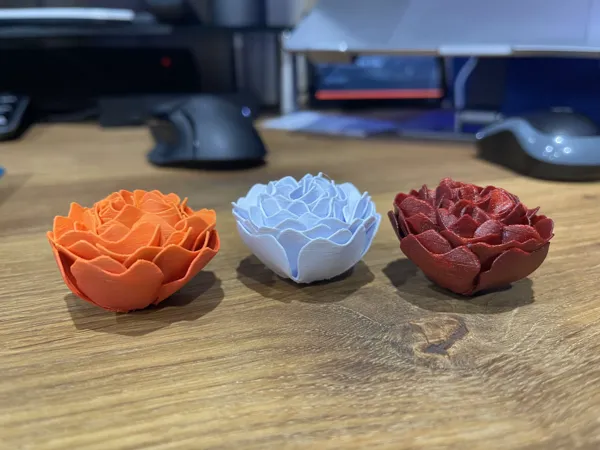 https://makerworld.bblmw.com/makerworld/model/USf946e3c6ef3a3/design/2025-01-24_7bc458c6f995d.jpg