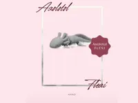 Axolotl Flexi