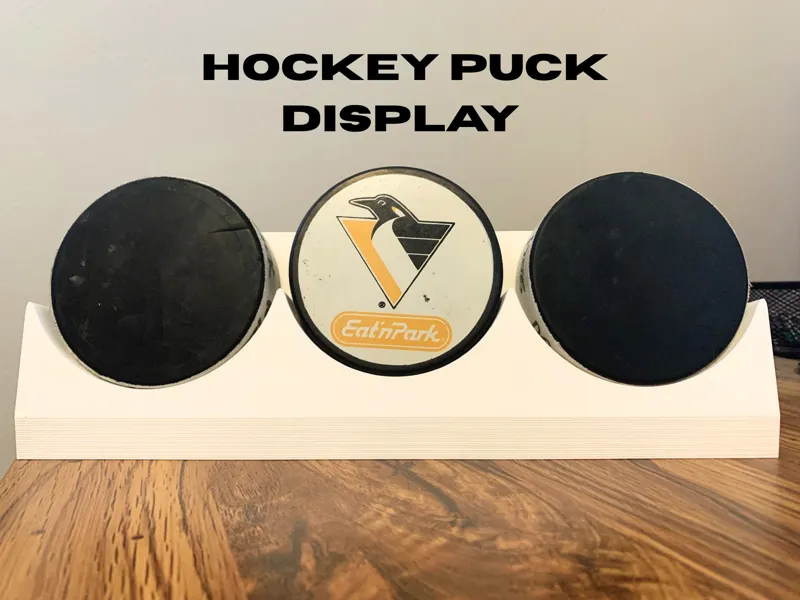 Hockey Puck Display