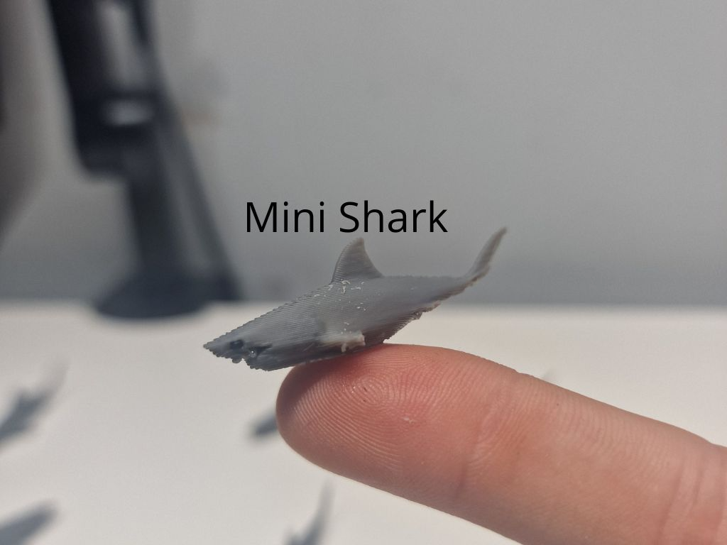 Mini Shark Fidget - Micro Zoo