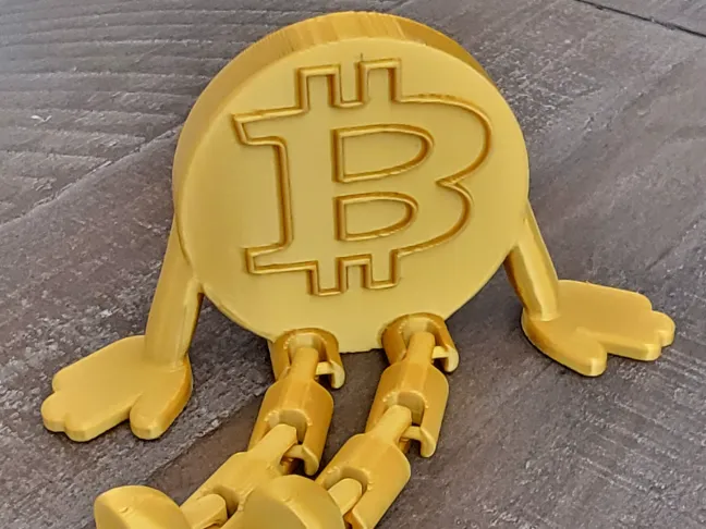 Bitcoin Articulated Coin mistake
