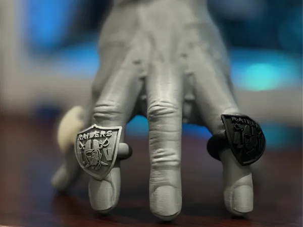 https://makerworld.bblmw.com/makerworld/model/USf958ac7b61cd83/design/2024-11-12_6c75c63679656.jpg