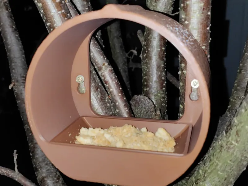 Bird feeder - Mangiatoia per piccoli uccelli