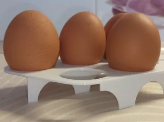 Egg tray for 6 eggs