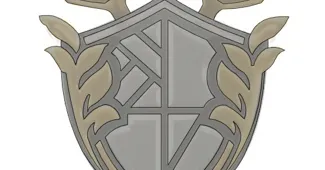 Nisha's Medallion