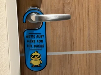 Cruise Duck Door Hanger – Just Here For the Ducks