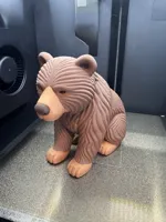 Multicolored Bear