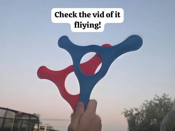 https://makerworld.bblmw.com/makerworld/model/USf96c883e5d2dc/design/6c5ec6e810663a7d.jpeg