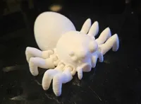 Araignée sauteuse articulée — photo 2