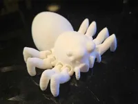Araignée sauteuse articulée — photo 1