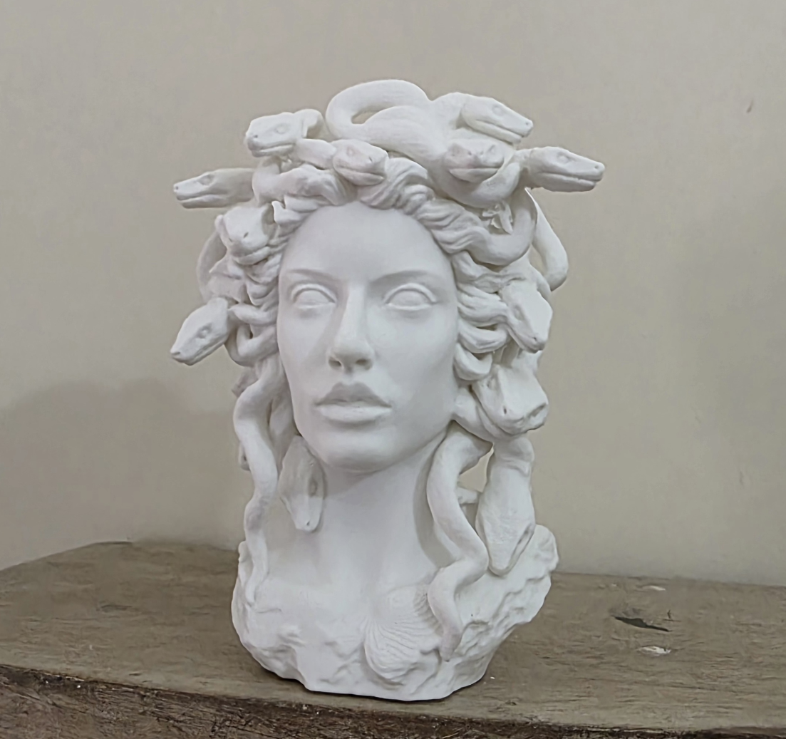 Miniatura 4 do modelo 3D Elegant Medusa Planter