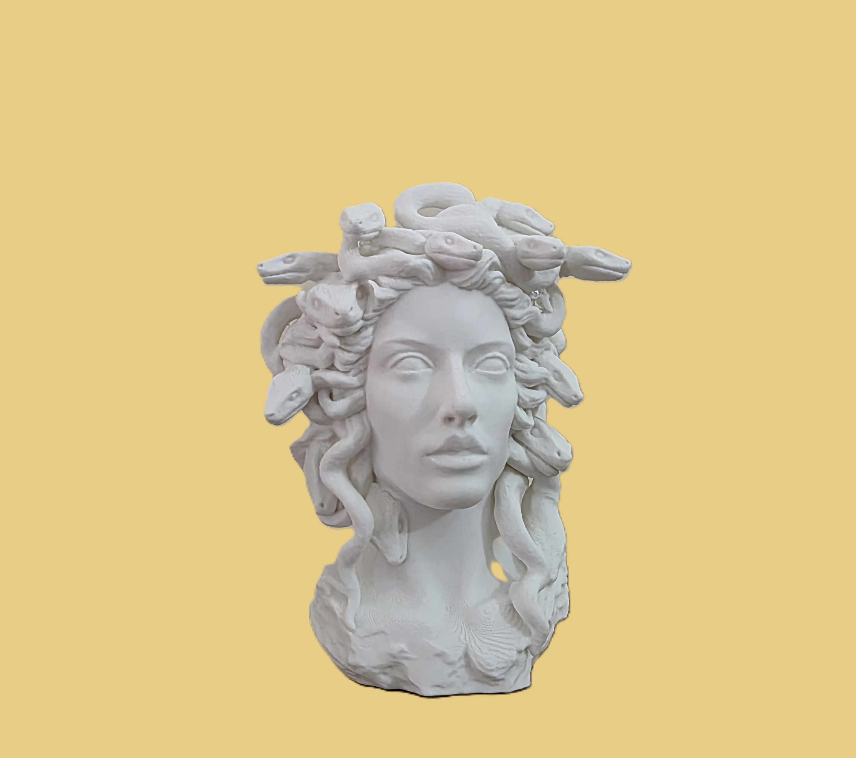 Miniatura 5 do modelo 3D Elegant Medusa Planter