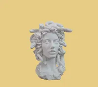 Medusa Planter - X1C- PETG