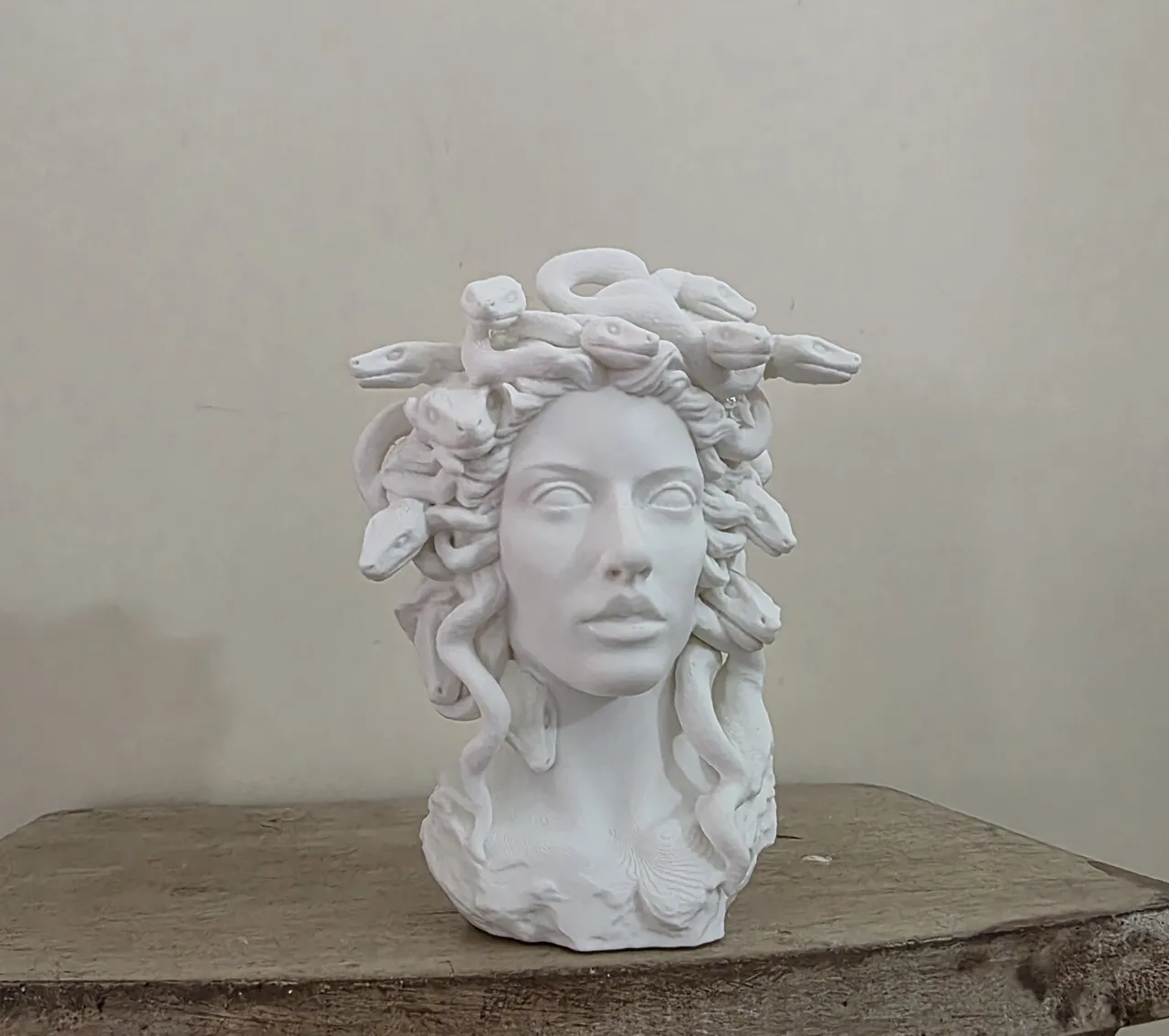 Elegant Medusa Planter view 2