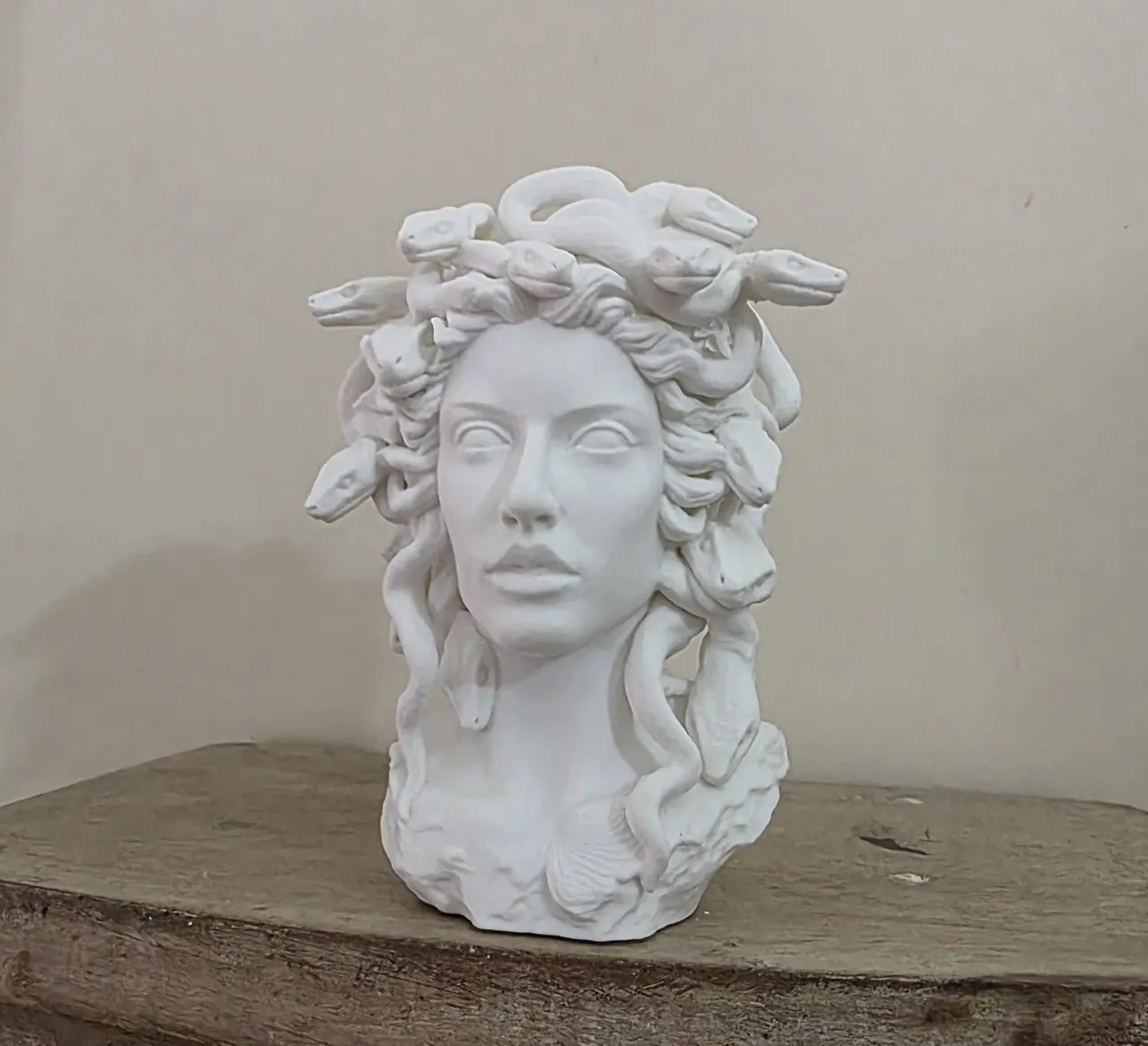 Elegant Medusa Planter view 4