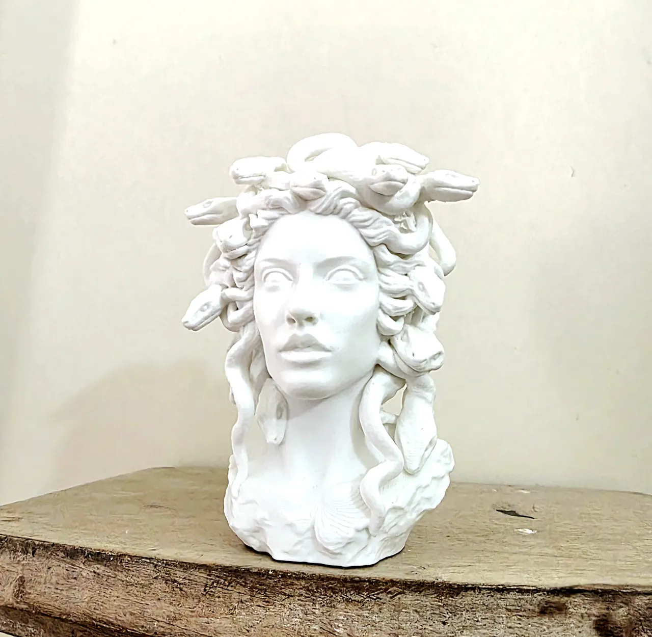 Elegant Medusa Planter view 3