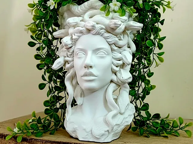 Elegant Medusa Planter