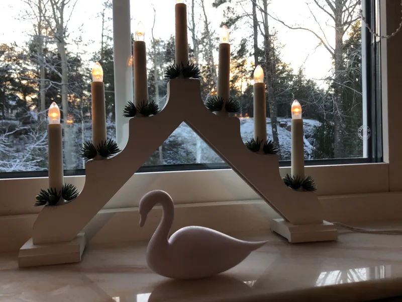 Minimalistic Swan