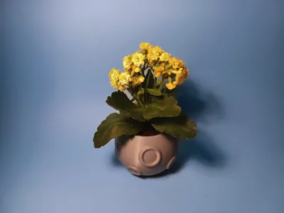 Moonpot Mini Moon Plant Pot by Xrontos - MakerWorld