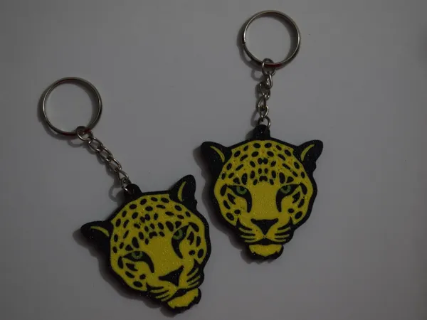 https://makerworld.bblmw.com/makerworld/model/USf976e6433324f8/design/2024-09-10_6412e01fc916d.jpg