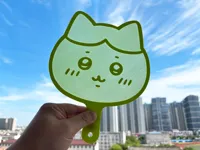 小八扇子