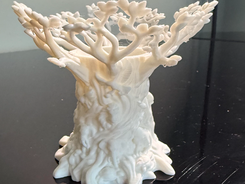 AK Tree of Life - 1