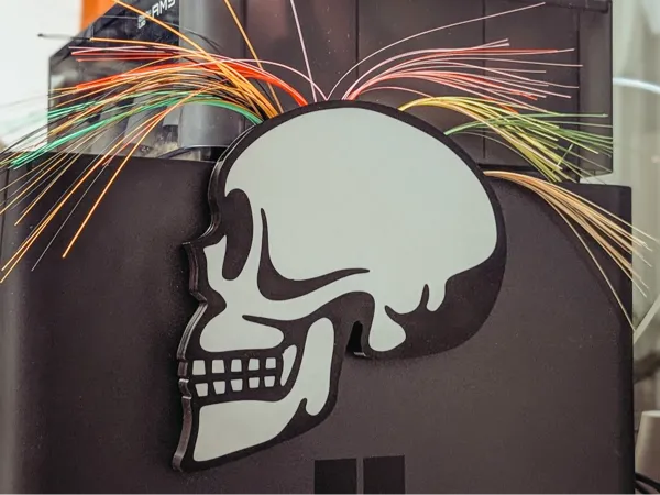 https://makerworld.bblmw.com/makerworld/model/USf981f7416c7588/design/2025-02-20_4ff3bffb45277.jpg