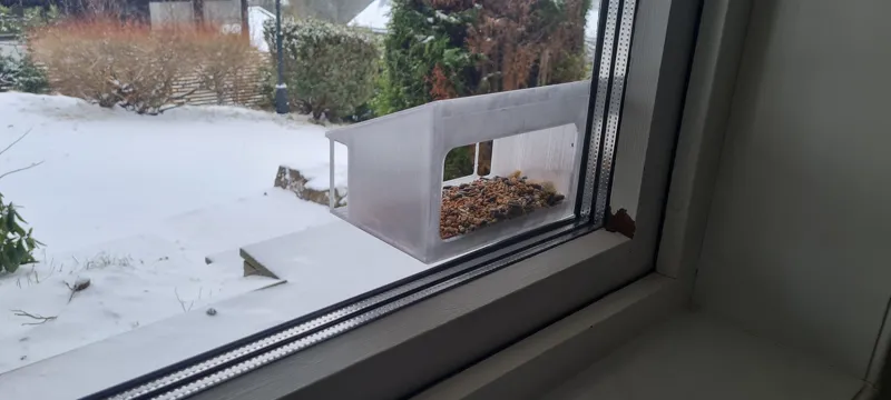 Window-hung Birdfeeder