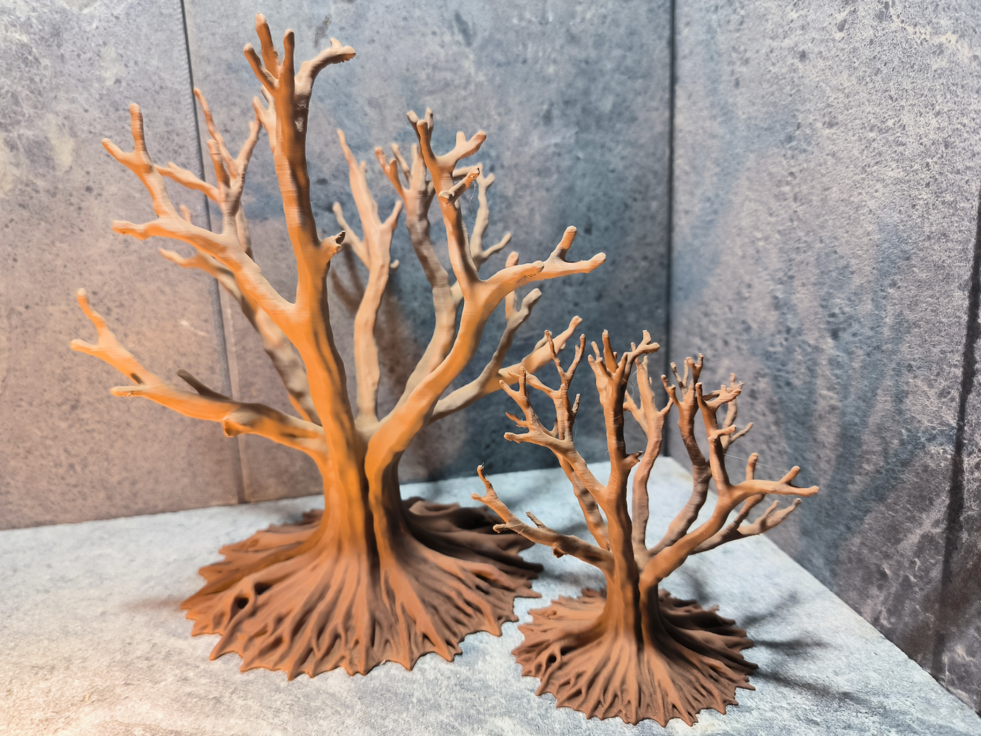 Alter Mehrfachstamm-Baum mit großer Wurzelplatte