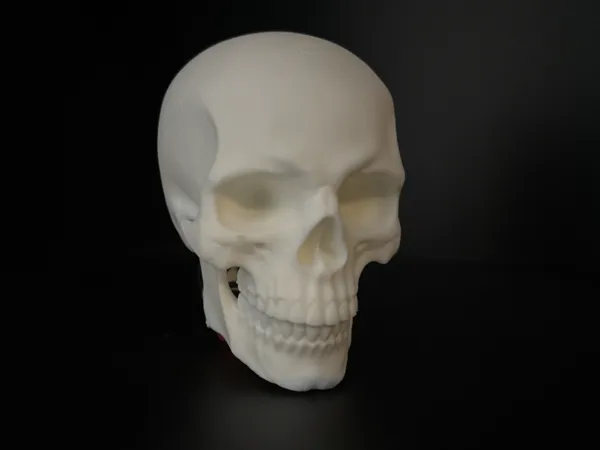 https://makerworld.bblmw.com/makerworld/model/USf99b6852f0b3f0/design/2025-08-27_e95f2eb7bcd14.jpeg