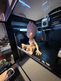 Groot — photo 2