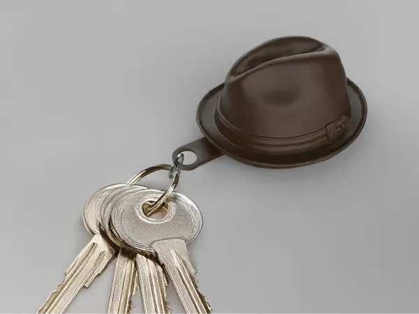 https://makerworld.bblmw.com/makerworld/model/USf99e0cd66ba760/design/2024-10-18_ed9e3348334ee.jpg
