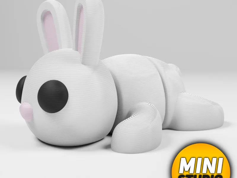 Flexi Bunny