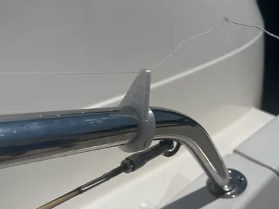 Boat Bird Deterrent