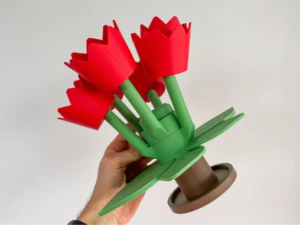 https://makerworld.bblmw.com/makerworld/model/USf9a4fb13fd40d4/design/2025-11-09_0ddc6c50075ca.jpeg